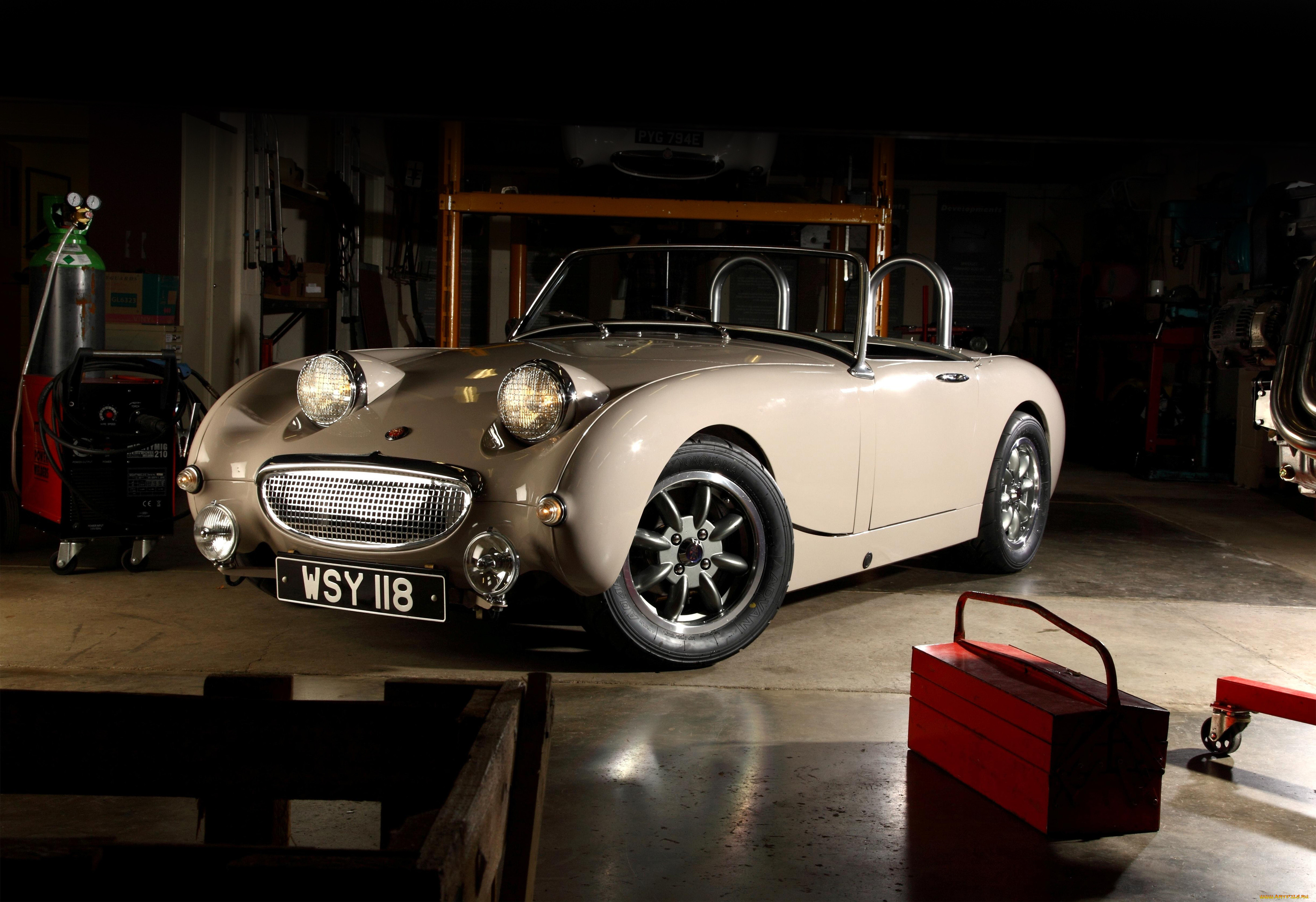 , triumph
